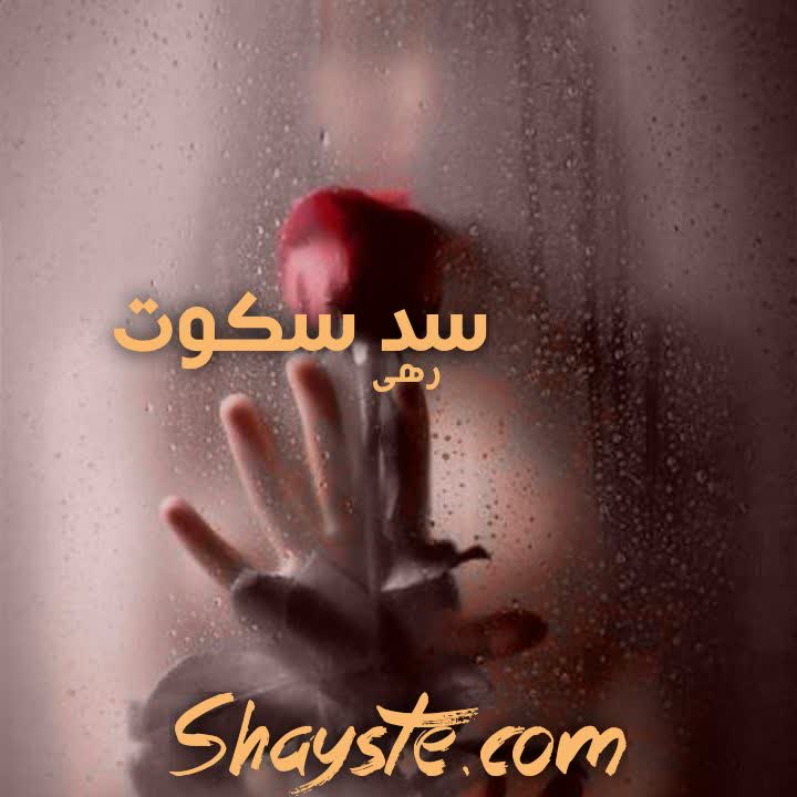 دانلود رمان سد سکوت (جلد اول) به قلم رهی با لینک مستقیم دانلود رمان سد سکوت (جلد اول) به قلم رهی با لینک مستقیم