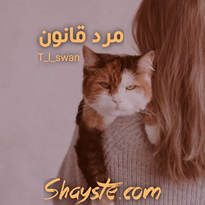 دانلود رمان مرد قانون (جلد اول) به قلم T_L_Swan با لینک مستقیم دانلود رمان مرد قانون (جلد اول) به قلم T_L_Swan با لینک مستقیم