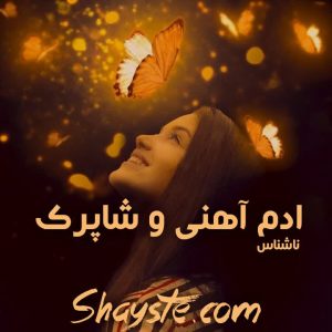 دانلود رمان آدم آهنی و شاپرک به قلم ناشناس با لینک مستقیم